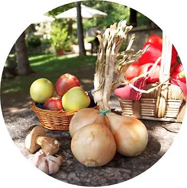 El Prau De Vidal La Puebla de Roda